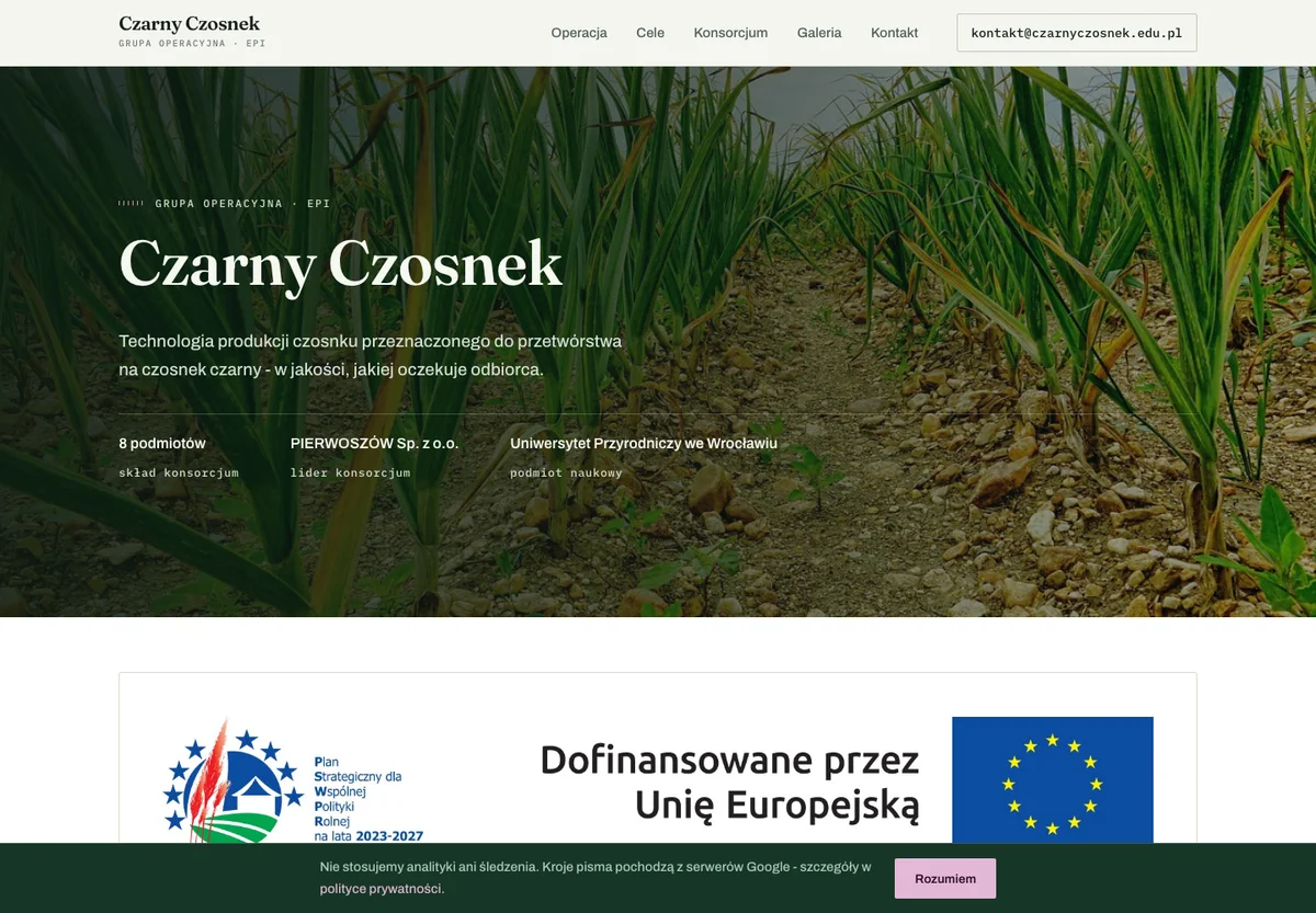 Ilustracja wpisu: Czarny Czosnek, czytelna strona projektu badawczego