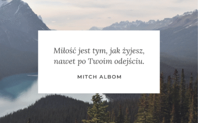 Jak cytować strony internetowe?